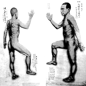 Schema dei meridiani secondo la medicina tradizionale cinese per l'articolo su agopuntura ASL